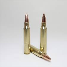 223 Remington 55 grain BTHP 3020 fps Ammunition 20 rounds