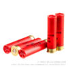 25 Rounds of 28ga Ammo by Fiocchi -  #8 shot - Image 4