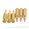 20 Rounds of .243 Win Ammo by Black Hills Gold - 95gr Polymer Tipped - Image 2