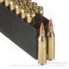 20 Rounds of .243 Win Ammo by Hornady Superformance Varmint - 58 Grain V-Max - Image 4