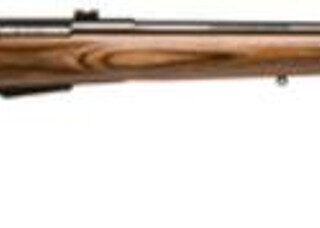 Savage Model 25 Lightweight Varminter .204 Ruger 24 Inch Barrel Satin Blue Finish Detachable Box Magazine Brown Laminate Stock 4 Round