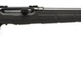 Savage A17 .17HMR Semi-Auto Rifle 22" Barrel