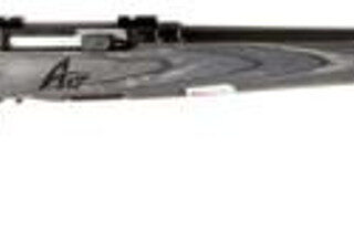 Savage A17 Sporter 17hmr Bl/blk 22