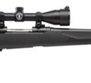 Savage 10/110 Engage Hunter XP 243 Winchester, With 3X9X40 Scope, 22" Barrel,, , Synthetic, Black,  4 rd