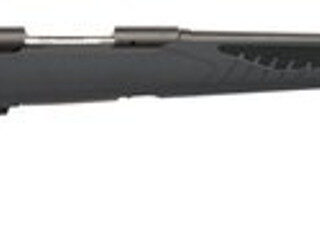 Savage 10/110 Hunter 22-250 Remington, 22" Barrel,, , AccuFit Gray Stock,  4 rd