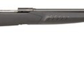 Savage 10/110 Long Range Varmint 204 Ruger, 26" Barrel,, , AccuFit Gray Stock,  4 rd