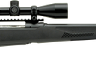 Savage 110 Apex Hunter XP, 450 BM, 22" Barrel, Black Color, Polymer Stock, 3Rd, Vortex Crossfire II 3-9x40 Scope,