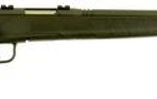 Savage B.Mag 17 WSM Bl/syn Hvbbl 22