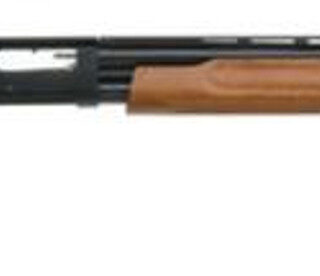 Mossberg 500 Youth Pump 12 Ga 24" 3" Walnut Stock Blued Rcvr