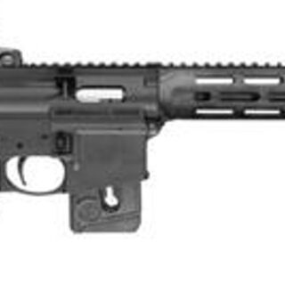 Smith & Wesson M&P15-22 Sport 22 LR, 10rd