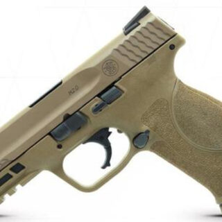 Smith & Wesson M&P M2.0, 9mm, 4.25", 17rd, Flat Dark Earth, Truglo TFX Sights