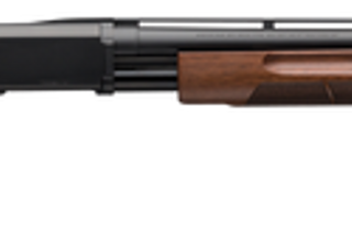 Browning BPS Field 20 Ga, 28" Barrel, 3", Matte Blued Barrel