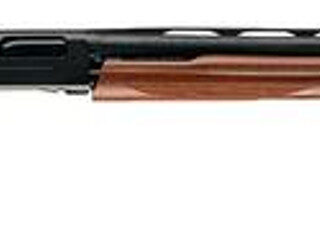 bolt action shotgun/Winchester SXP Pump 12ga 26" Barrel