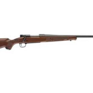 Winchester M70 Featherweight Bolt 270 Win 22" Barrel, Grade I Walnut Blued, 5rd