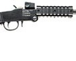 Chiappa Firearms Little Badger Single Shot Break Open 22WMR Black