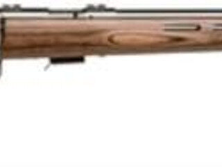 Savage Mark II Btvs 22LR 21 Inch Barrel Stainless Steel Finish Laminated Thumbhole Stock Accutrigger 5 Round Mag
