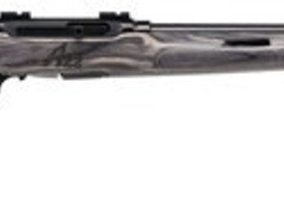 Savage A22 Target .22 LR, 22" Barrel, Black Laminate Thumbhole Stock, 10rd