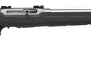 Savage A22 FSS .22 LR, 22" Barrel, Synthetic Black Stock, Stainless Steel, 10rd
