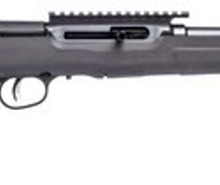 Savage A22 FV-SR .22 LR, 16.5" Barrel, Synthetic Black Stock, Black Carbon, 10rd