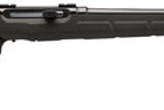 Savage A17 HM2 17 HM2 (Hornady Mach 2), 20" Barrel, Black Color, Black Polymer Stock, Detachable Rotary Magazine