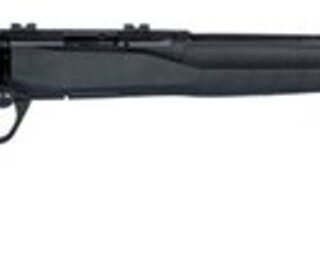 Savage B22 F Bolt 22 LR (LR) 21" Barrel, Synthetic Black Stock Black, 10rd