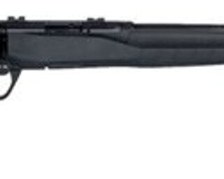 Savage B22 Magnum F Bolt 22 WMR 21" Barrel, Synthetic Black Stock Black, 10rd