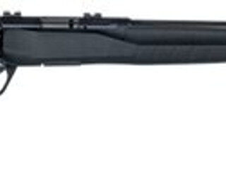 Savage B22 Magnum FV Bolt 22 WMR 21" Barrel, Synthetic Black Stock Black, 10rd