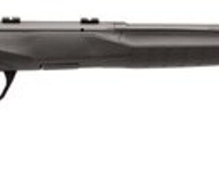 Savage B22 Magnum F .22 WMR, 21" Barrel, Synthetic Black Stock, Blued, Left-Handed, 10rd