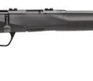 Savage B17 Compact .17 HMR, 18" Barrel, Synthetic Black Stock, Blued, 10rd
