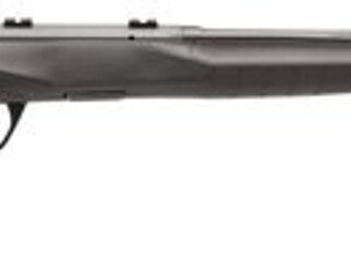 Savage B17 F .17 HMR,  21"Barrel, Synthetic Black Stock, Blued, Left-Handed, 10rd