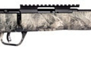 Savage B17 FV-SR .17 HMR, 16.5" Barrel, Synthetic Overwatch Stock, Black Carbon, 10rd