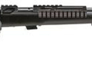 Savage 93R17 TRR-SR Bolt 17 HMR 22" Barrel, Wood Black Stock Black, 5rd