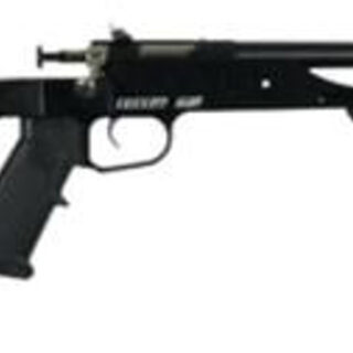 Keystone Crickett Precision 22LR, 16" Barrel, Black Receiver/Stock Lower Rail 7rd