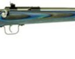 Keystone Crickett 22LR, 16.125", Blue Laminate Stock Stainless Steel