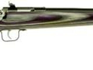 Keystone Crickett 22LR, 16.12", Purple Laminate Stock