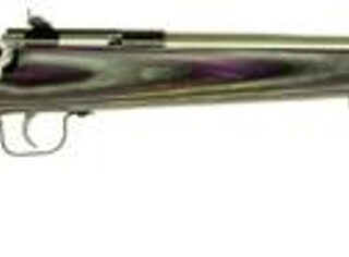 Keystone Crickett 22LR, 16.12", Purple Laminate Stock, Stainless Steel