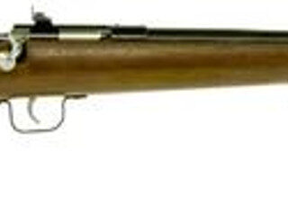 Keystone Crickett 22LR, Blued, Walnut Stock
