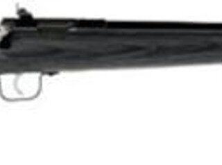 Keystone Sporting Arms, Crickett, Gen 2, Youth, Single Shot Rifle, 22 LR, 16.125" Barrel, Blue Finish, Black Laminate Stock, Adjustable Sights