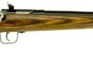 Keystone Crickett 255 Youth Model 22 LR, 16.125", Blued, Laminate Stock, Single Shot