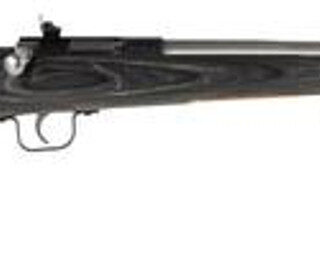 Keystone Crickett 22LR SS/Black Laminate