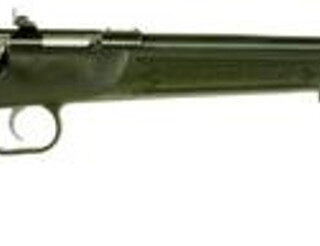 Keystone Crickett 22 Magnum, 16" Black Synthetic Stock, Blued