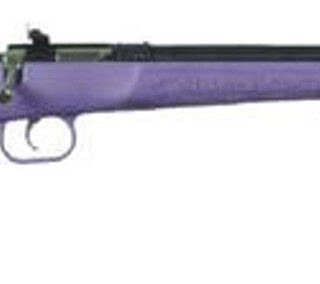 Keystone Sporting Arms, Crickett, Generation 2, Bolt, Youth, 22 LR, 16.125", Purple, Right Hand, Single Shot, Adjustable Sights, Matte Blued, Synthetic