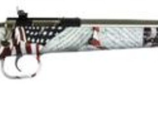 Keystone Crickett 22LR, 16", Amendment Stock, SS