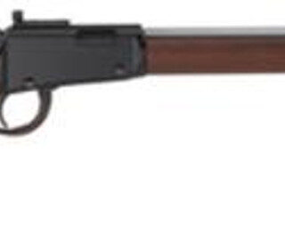 Henry Small Game Rifle .22 Mag 20" Octagon Barrel Skinner's Sights Large Loop Lever Walnut Stock 16rds