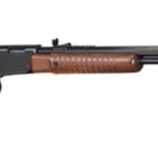 Henry Pump 22 Mag 20" Octagon Barrel, Walnut Stock, Blue Finish, 12 Round