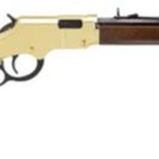 Henry Golden Boy Youth Model, .22LR