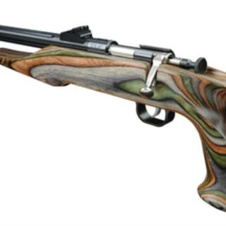 Keystone Crickett Davey Chipmunk Hunter Pistol 22LR, 10.5", Laminated Barracuda Stock