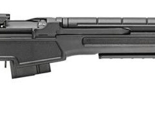 Springfield M1A 6.5mm Creedmoor 22 " SS Barrel Black Precision Adjustable Stock, 10rd