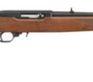 Ruger 10/22 22 LR 18.5" Walnut Blue