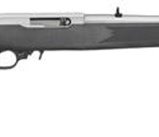 Ruger 10/22 22LR Carbine, 18" Barrel, SS Finish, 10 Rnd Mag